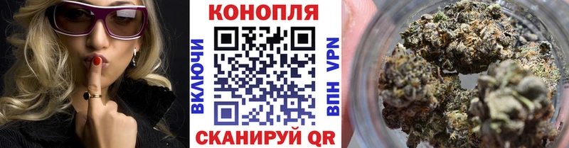 Конопля индика  Купить где  Кировск 
